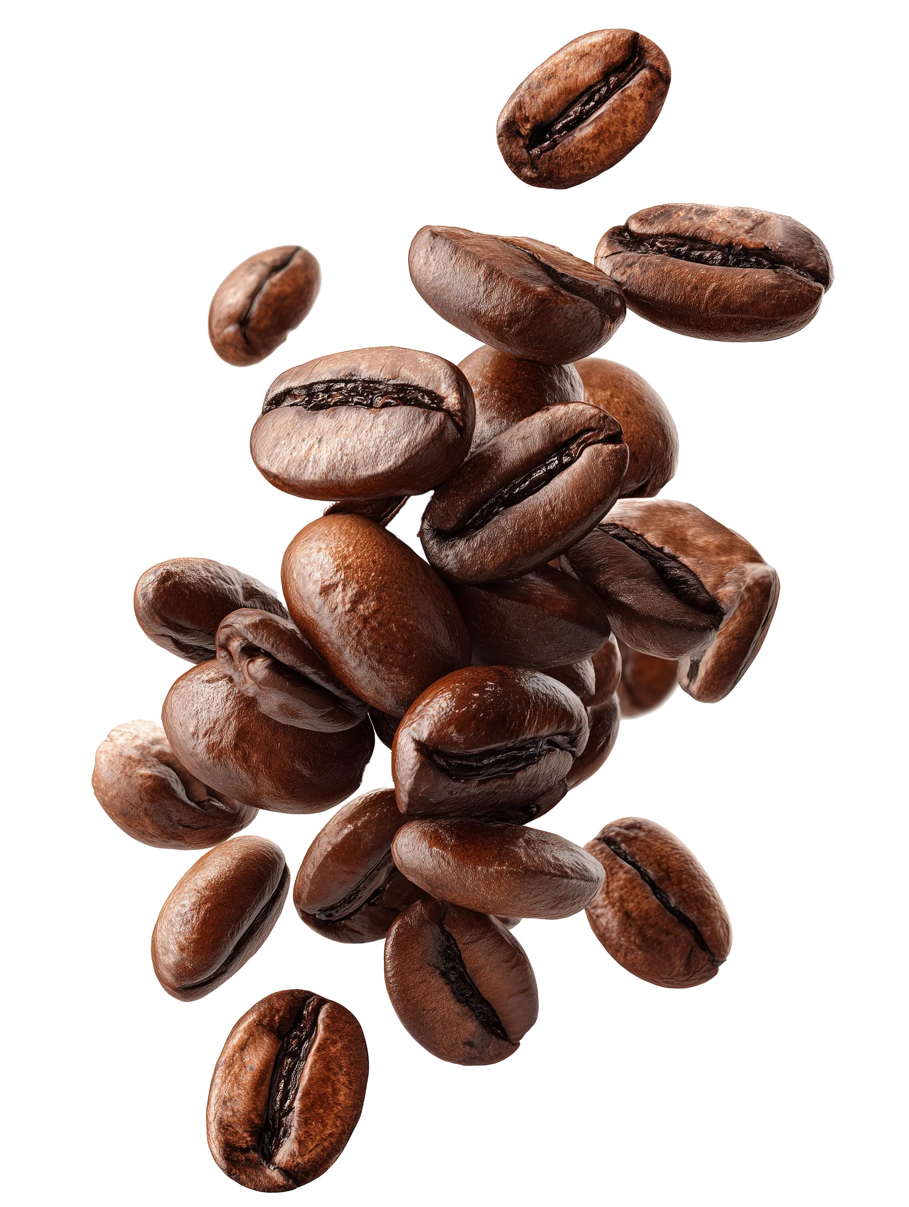 Mobiele koffiebar van Barista Jerome